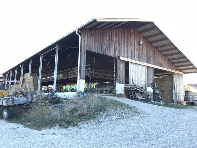 Neubau eines Außenklimastalles für Rinder in Kleinaltdorf Planung, Bauleitung